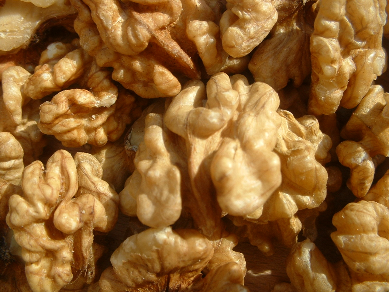 [kernels.JPG]