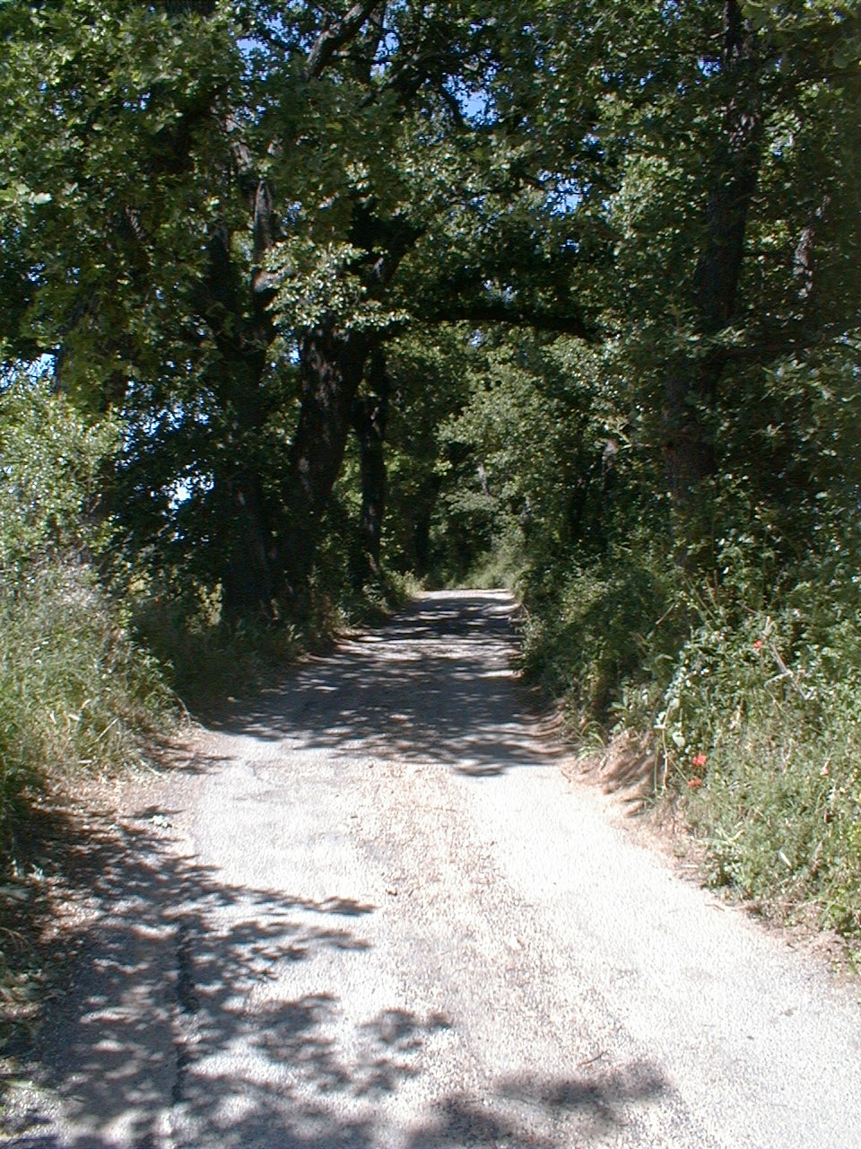 [Thursdaywalk2.JPG]
