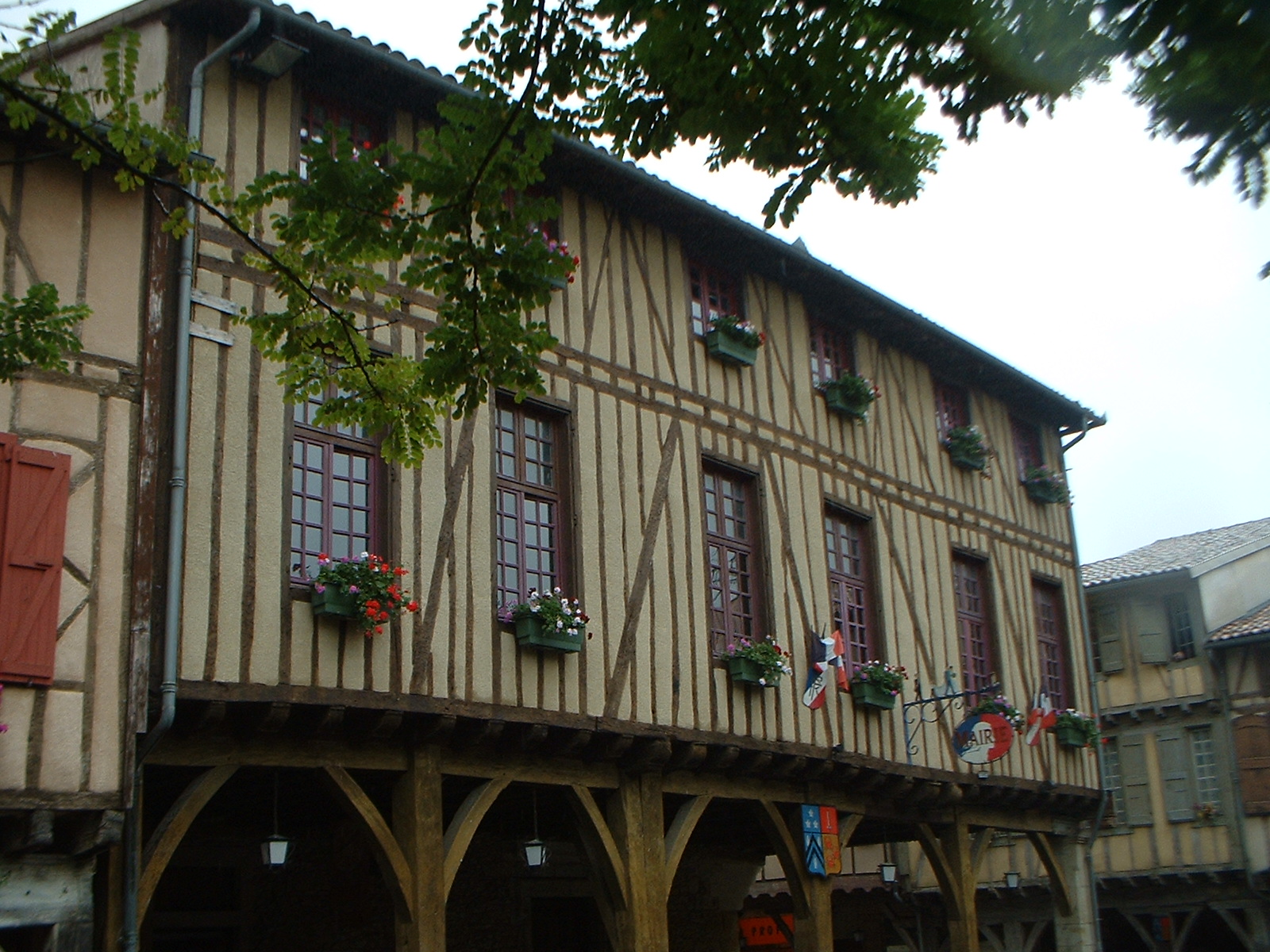 [DSCF0017.JPG]