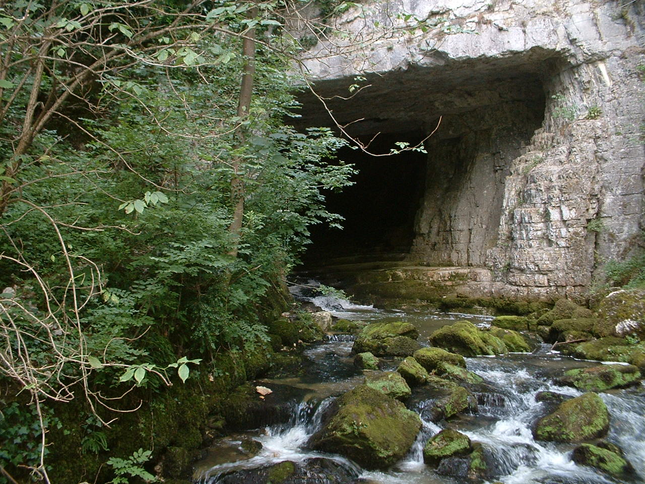 [DSCF0002.JPG]