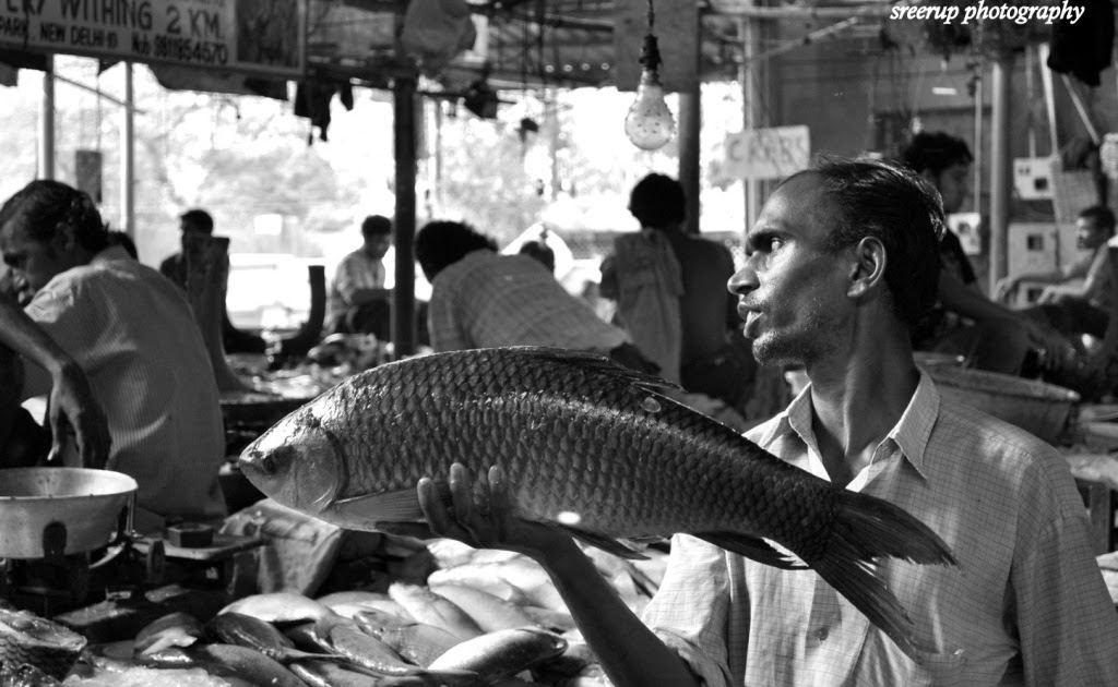 New World Chittaranjan Park fish market