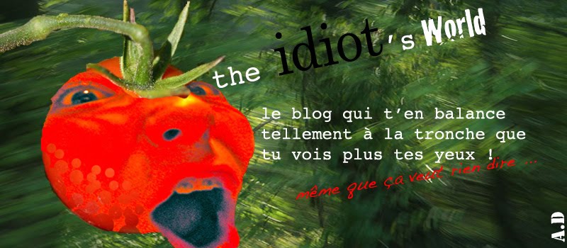 the idiot's World