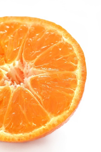 [IMG_9945whiteweb.jpg]