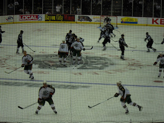 houston aeros mascot