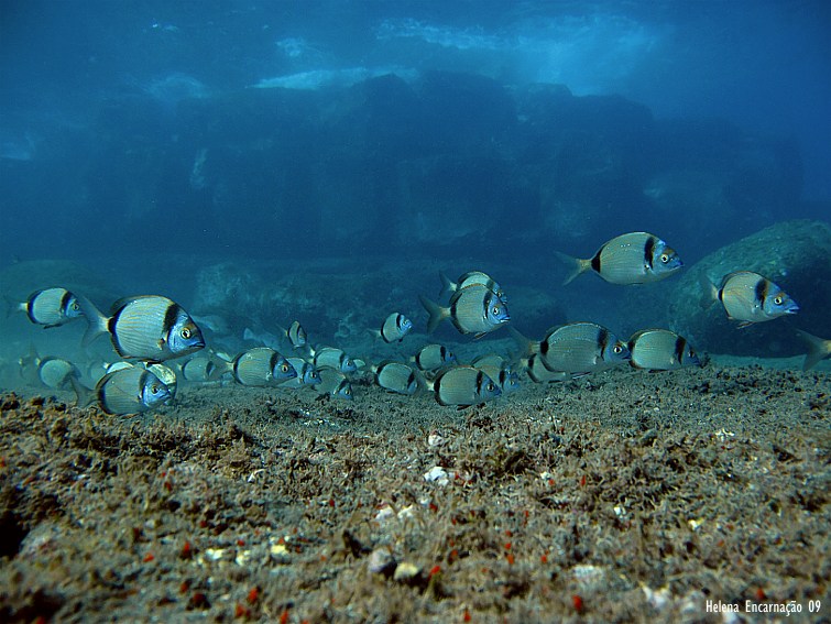 [IMG_0017tyrt.jpg]
