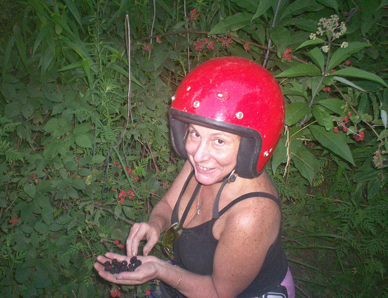 [08_01_ATV_berries+013.jpg]