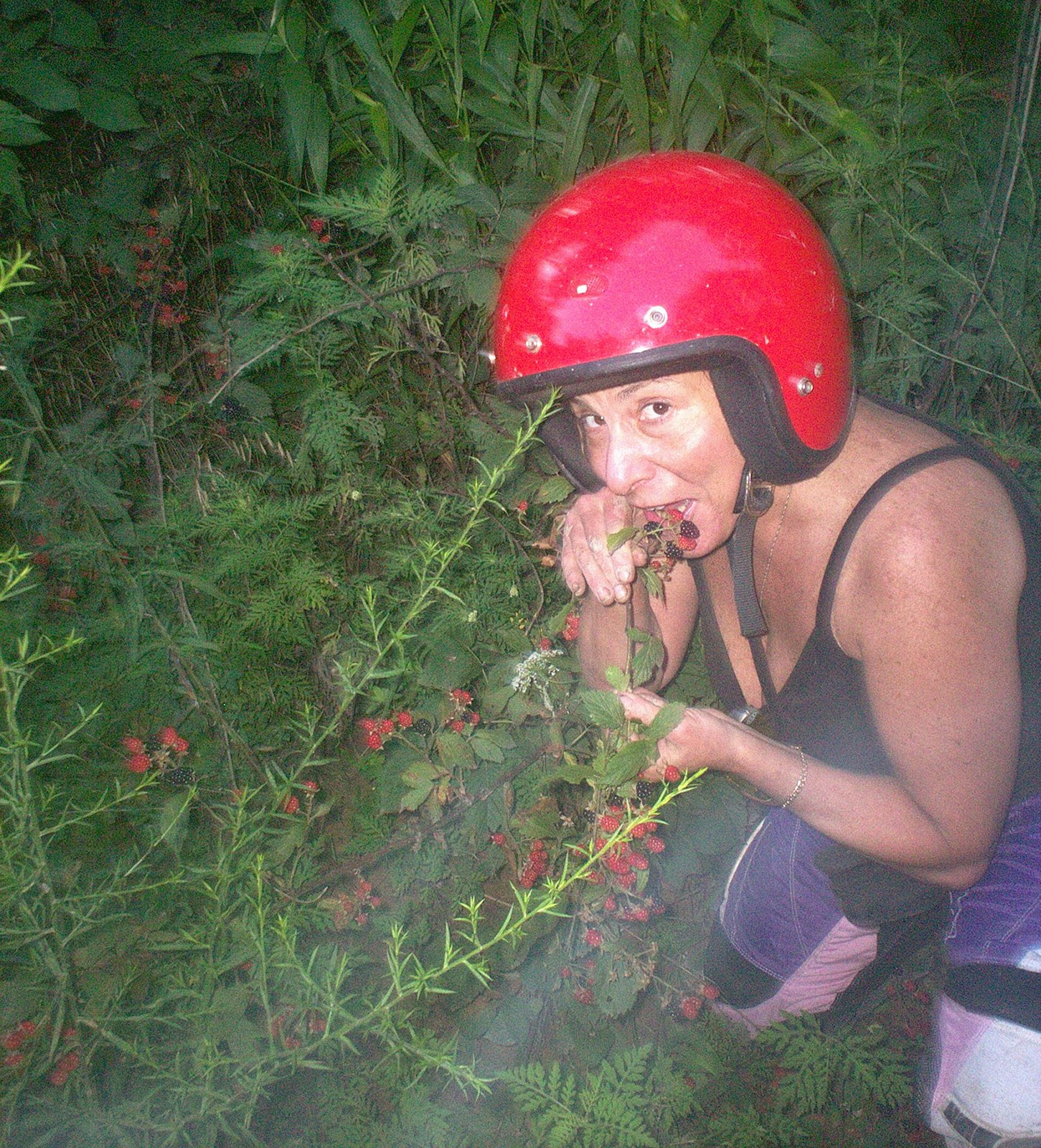 [08_01_ATV_berries+008.jpg]