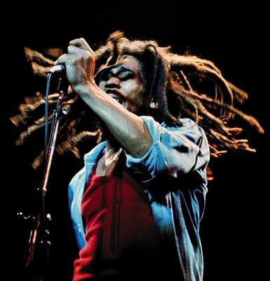 Bob Marley Dreadlock Hairstyle