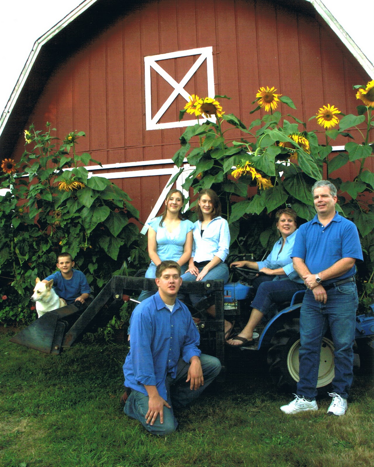 Food Production Systems For a Backyard or Small Farm