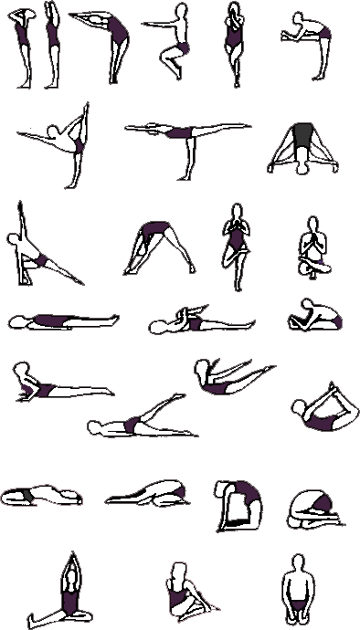 bikram sequence