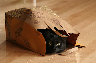 not my cat, or a plastic bag - but you get the idea