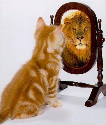 cat-lion%5B1%5D.jpg
