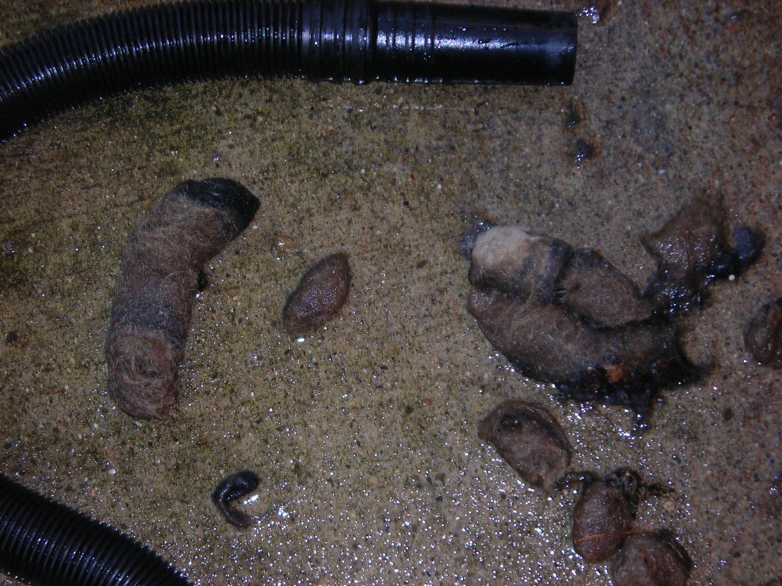 [vacuum+crap+and+framing+003.jpg]