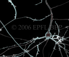 neurona aislada