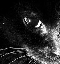 No son ojos porque los ves...