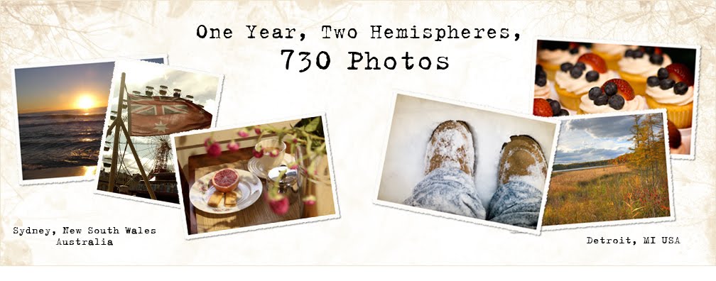 One Year, Two Hemispheres, 730 photos