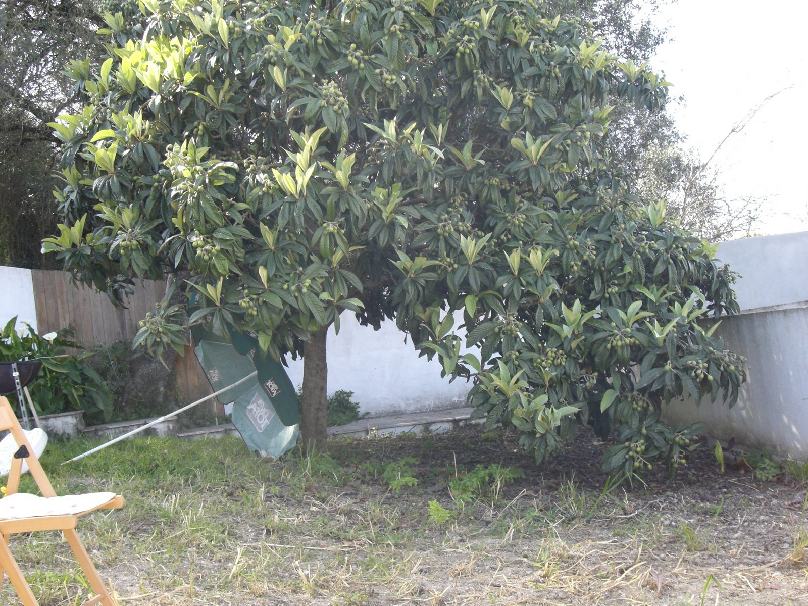 [CIMG0904.JPG]