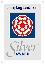 silver award