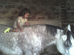 Pasion por el caballo