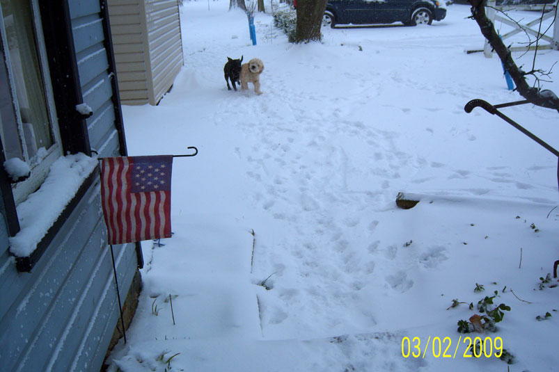 [Snow6.jpg]