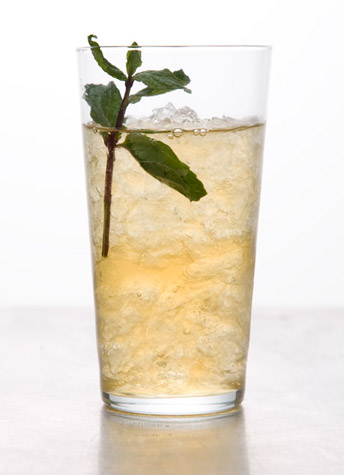 [mint-julep344.jpg]