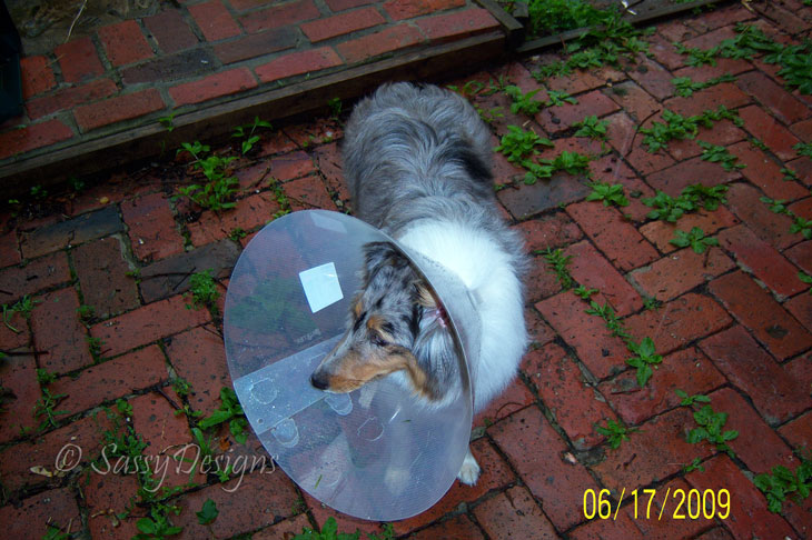 [ConeHead3.jpg]