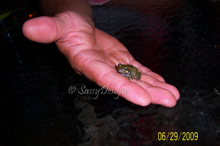[Frog2.jpg]