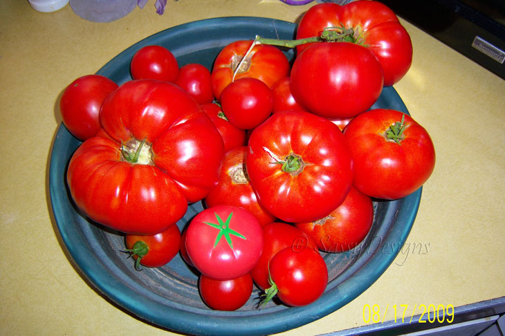 [Tomatoes.jpg]