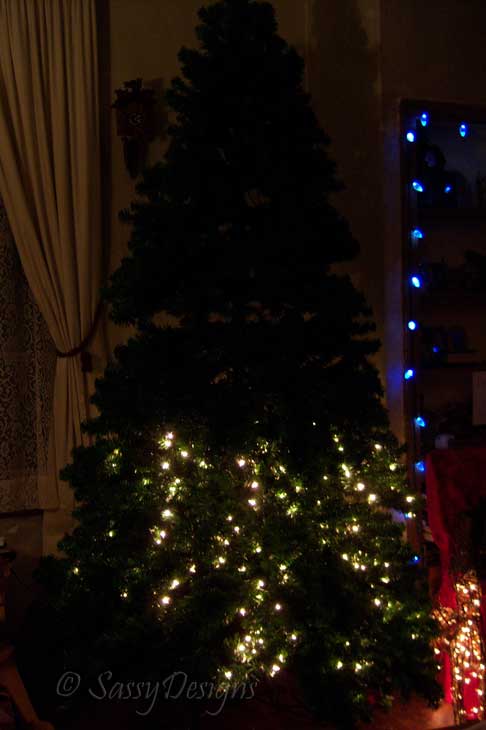 [Tree.jpg]