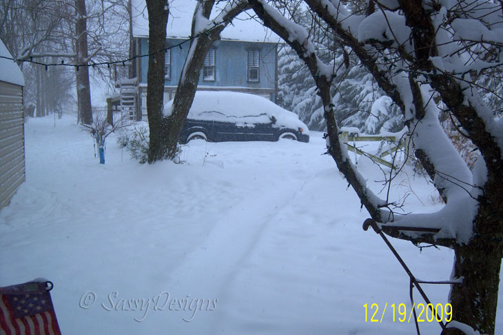 [Snow6.jpg]