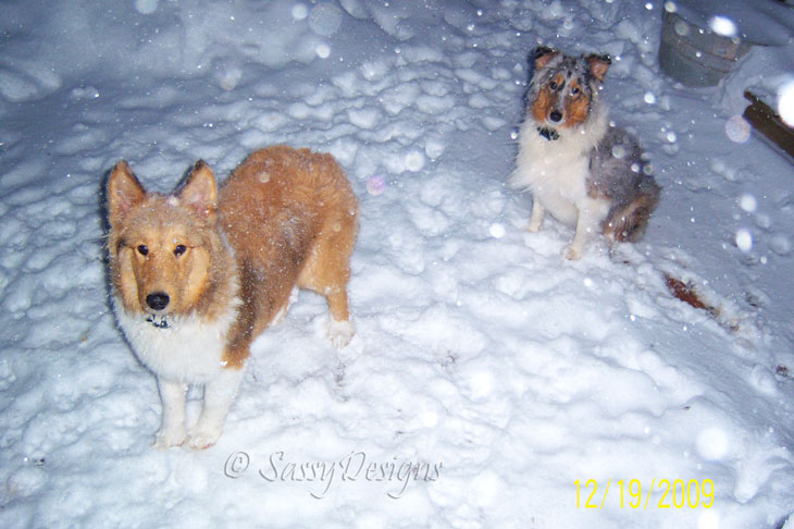 [SnowPuppies3.jpg]