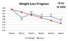 My Weight Loss Progress