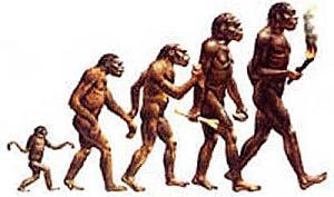 [Evolution+Theory.bmp]