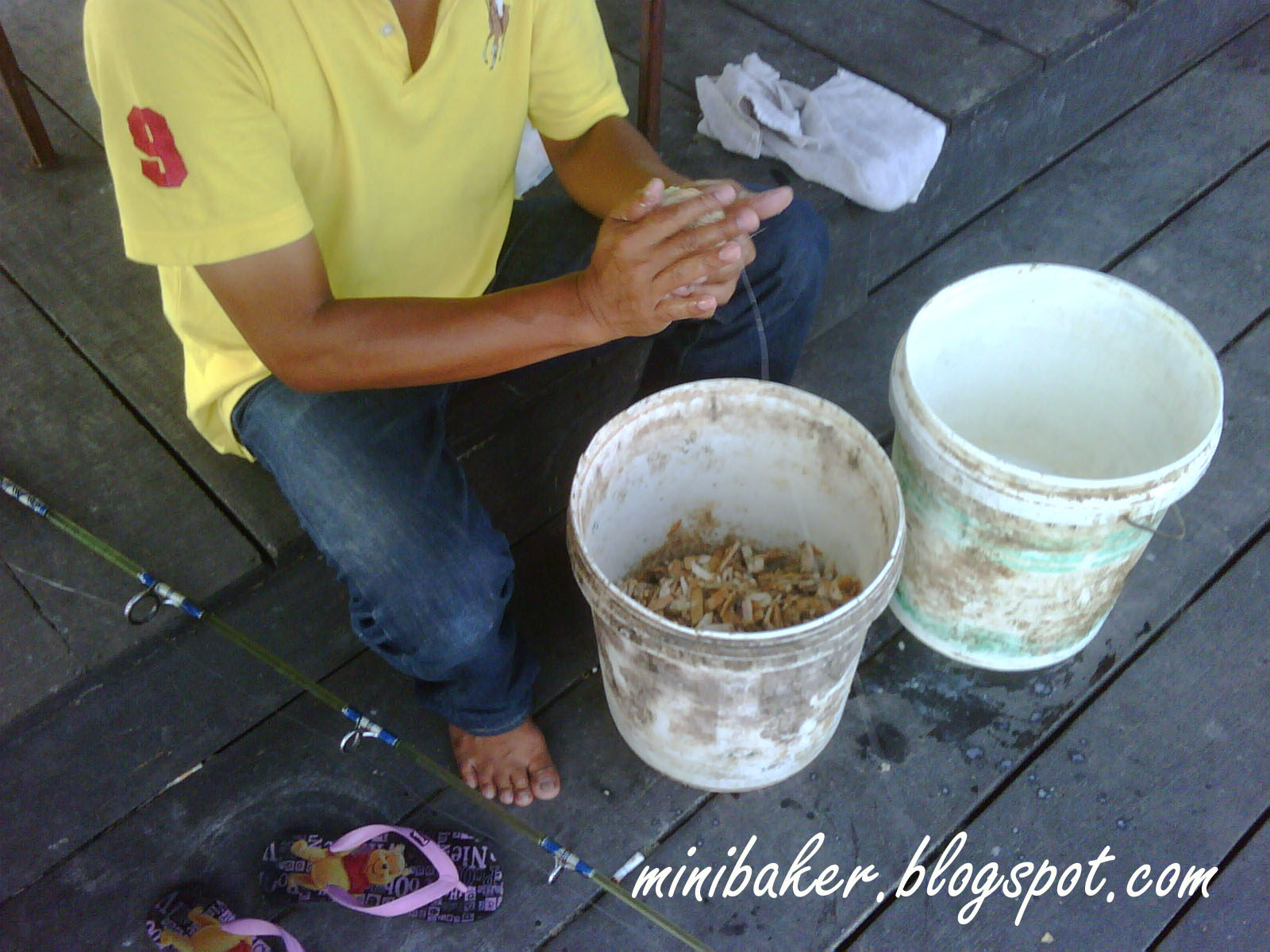 Giant+mekong+catfish