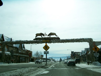 Bird2920: Jackson, WY