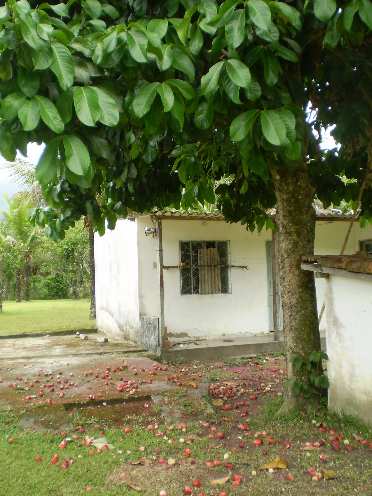[P1010381.JPG]