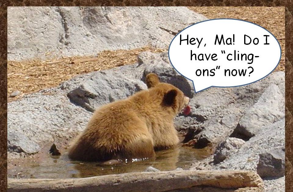 PetsJubilee The Poop Scoop Bad News Bears