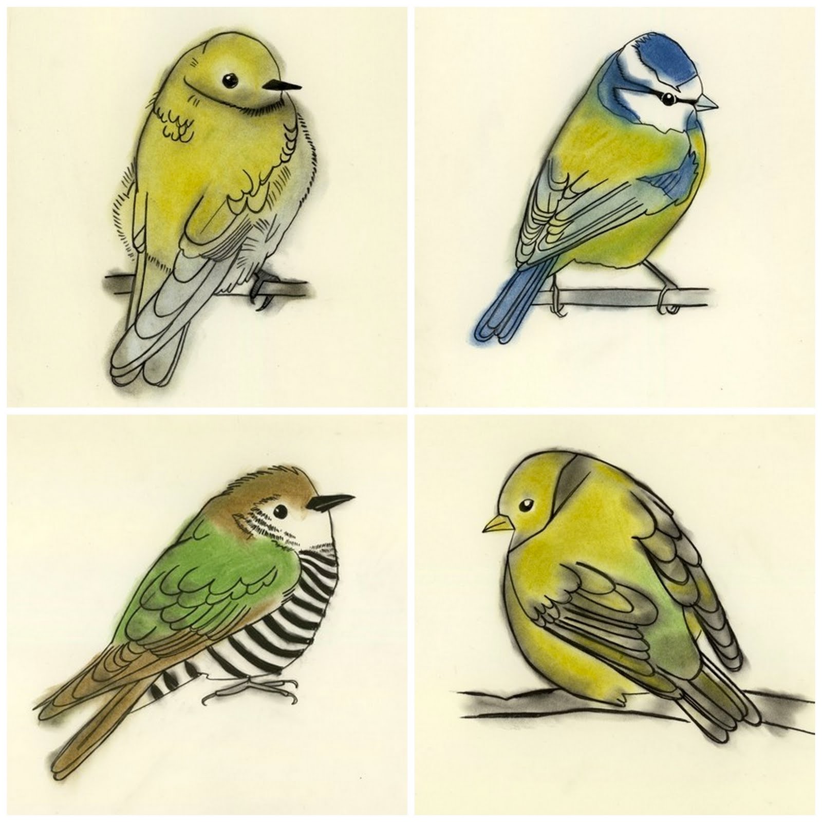 [birds+collage.jpg]
