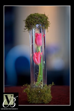 [IMG_6868.jpg]