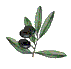 [1.gif]