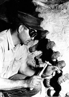 [Paleontologist_chipping.jpg]
