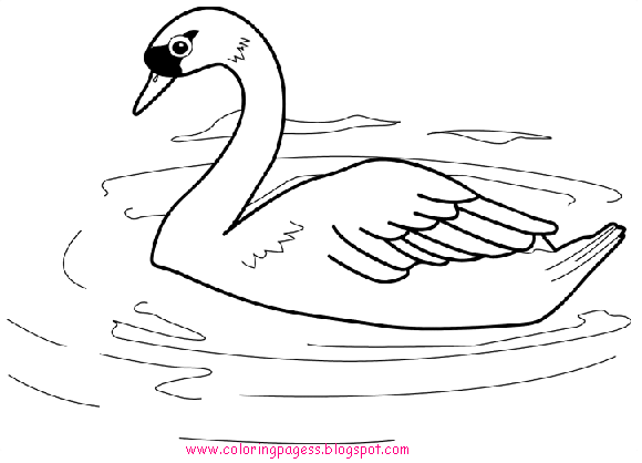 animal coloring pages animal coloring pages