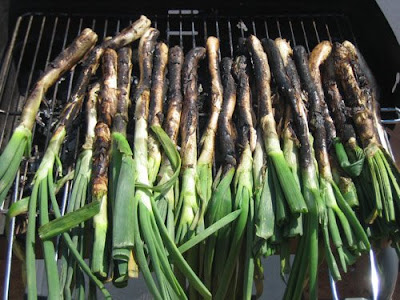 Barcelona SEO - Calçots