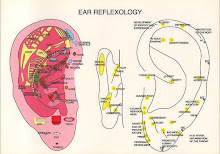 Refleksologi Telinga
