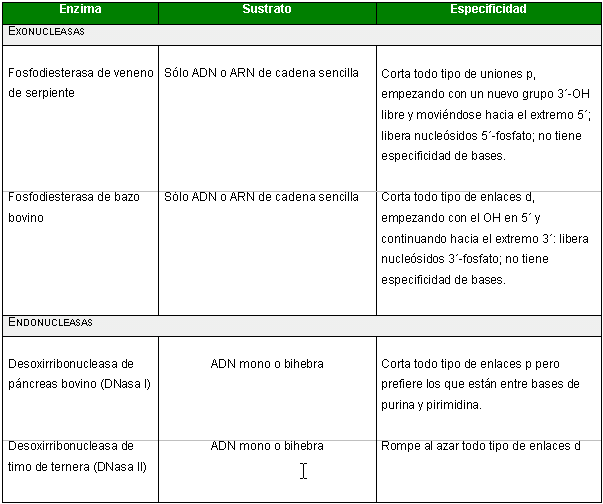 Tecnología Médica Mención Morfofisiopatología y Tecnología Médica Mención Morfofisiopatología y