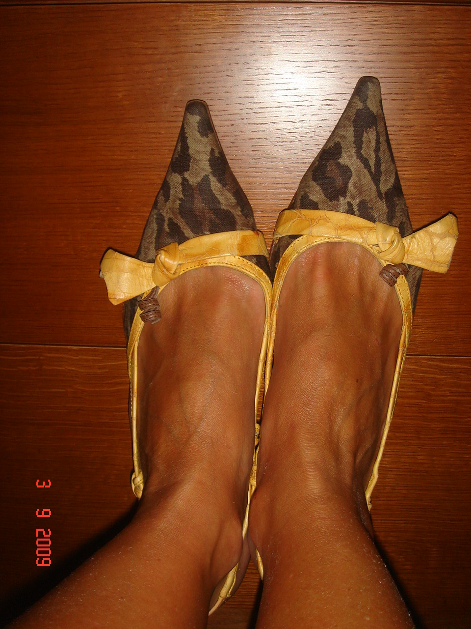 [DSC08965.JPG]