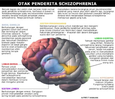 Dokter Faiz'Blog: Schizophrenia