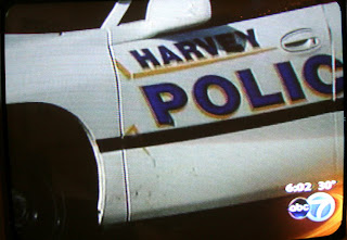 Michael Wellek Libertyville