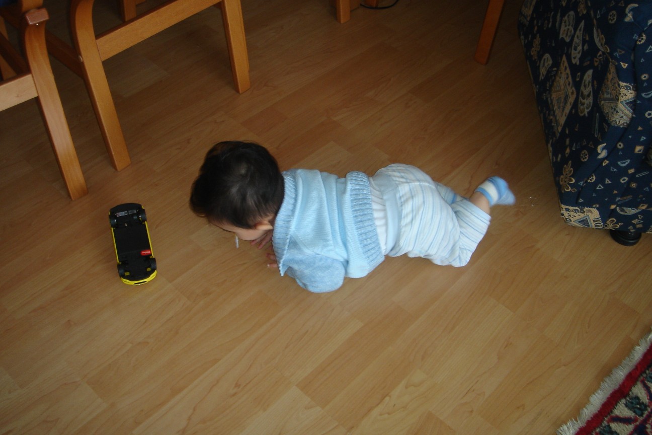 [DSC04432.JPG]