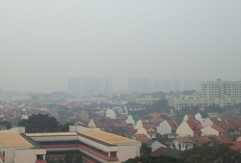 A Sakura Story: Singapore Haze